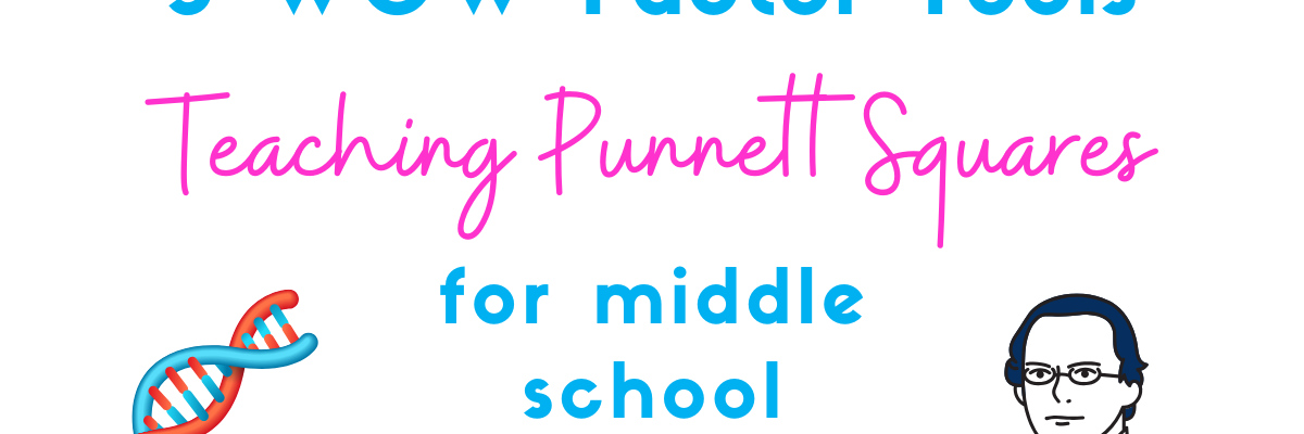 how to teach punnett squares - middle school