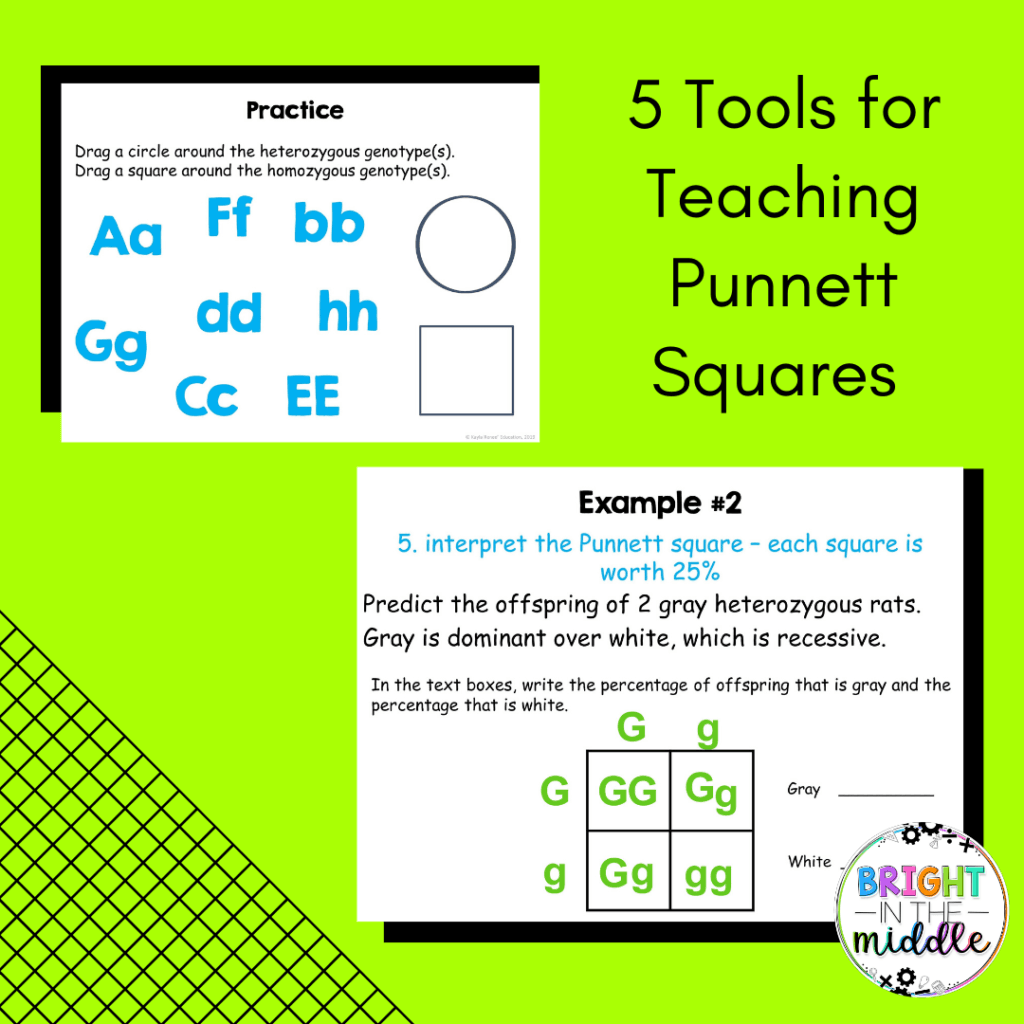 teaching-punnett-squares