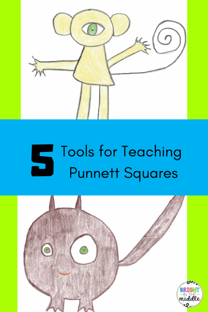 teaching-punnett-squares-2