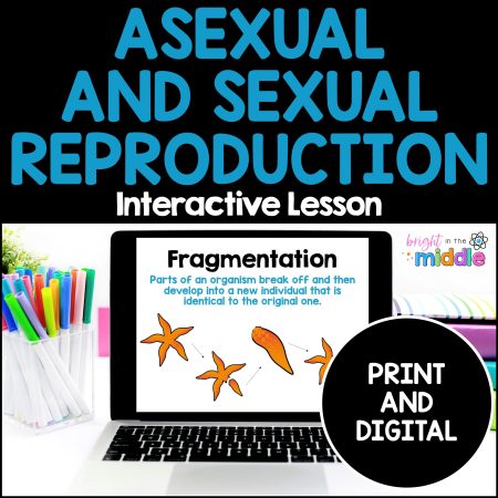 asexual and sexual reproduction activity