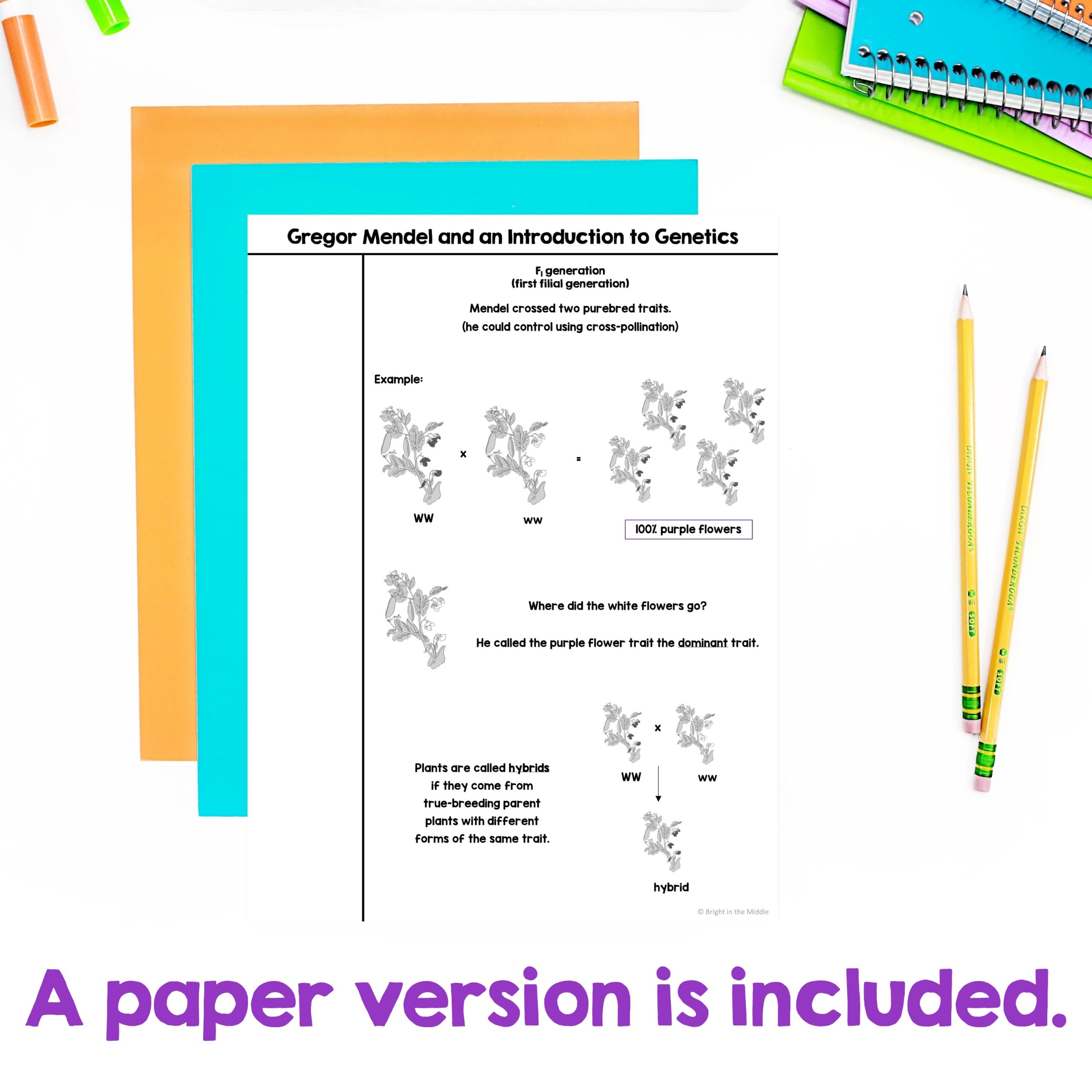 gregor-mendel-and-an-introduction-to-genetic-3