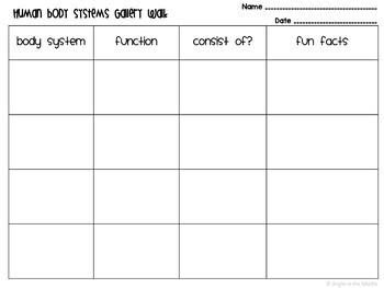 13 Human Body Systems Gallery Walk - Image 4