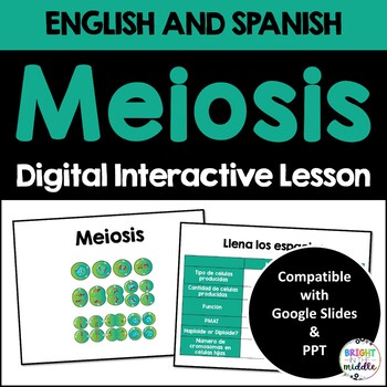 Meiosis Interactive Lesson - ENGLISH AND SPANISH bundle