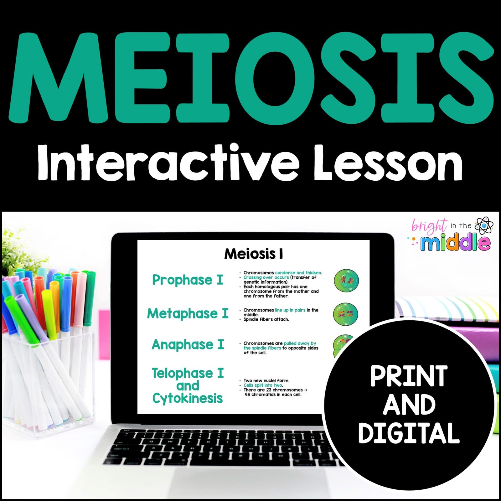 meiosis lesson