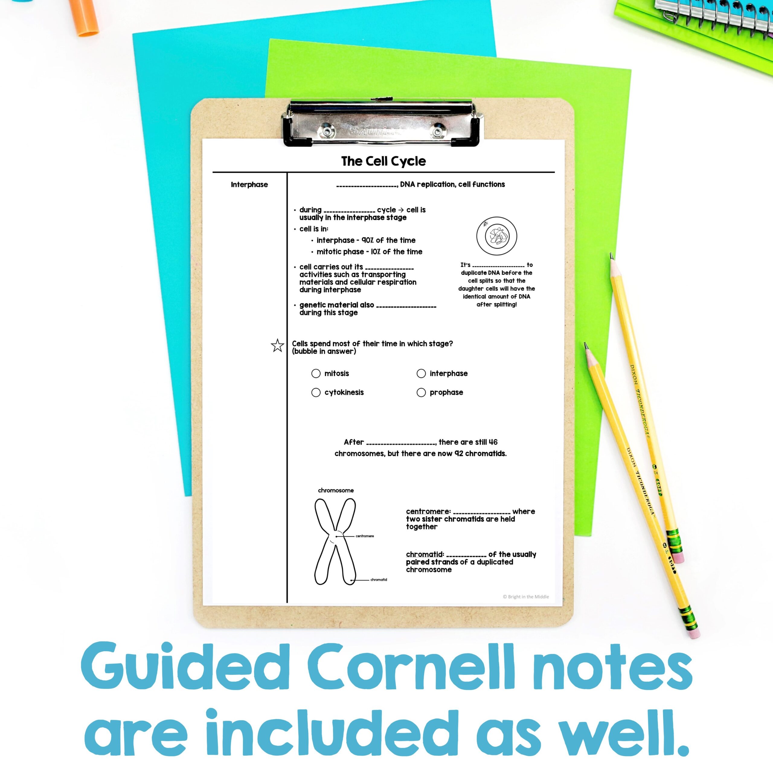 mitosis-and-the-cell-cycle-lesson-4