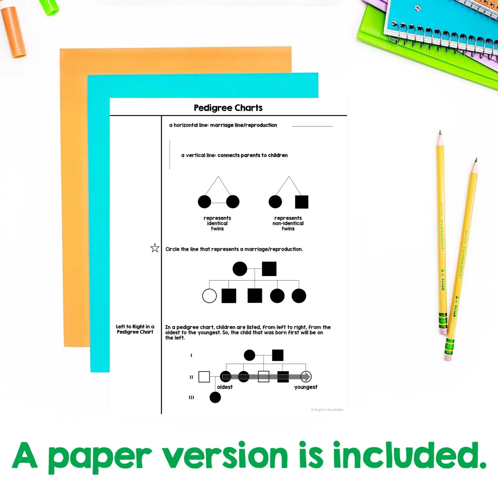 pedigree-chart-lesson-3