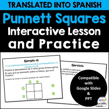 Punnett Squares Digital Interactive Lesson in SPANISH