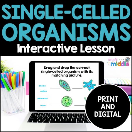 single-celled-organisms-lesson-1