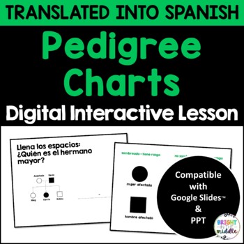 Pedigree Charts Interactive Lesson in Spanish