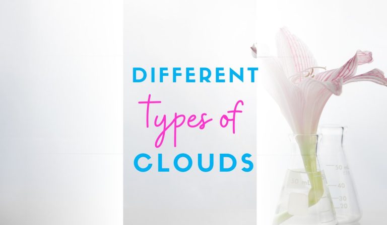 4 WOW Activities for The Different Types of Clouds