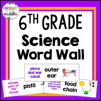 6th grade science vocabulary