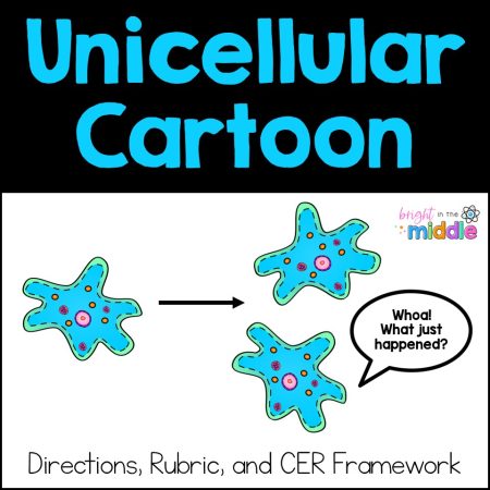 Unicellular Organisms Activity - Cartoon and CER