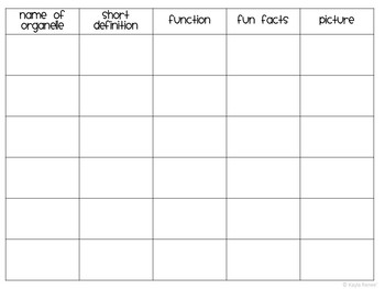 Plant and Animal Cell Organelle Gallery Walk - Image 4