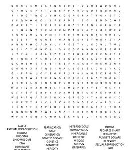 Genetics Word Search: Essential Standard: 7.L.2