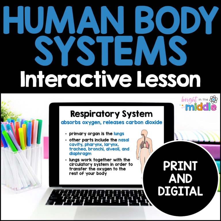 Human Body Systems Interactive Lesson - Bright in the Middle
