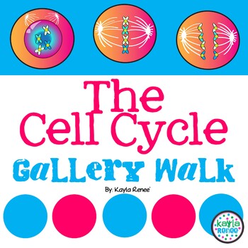 Mitosis and The Cell Cycle Gallery Walk