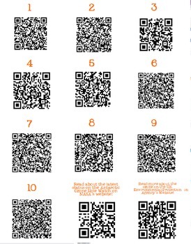 Ozone Layer QR Scavenger Hunt - Image 2