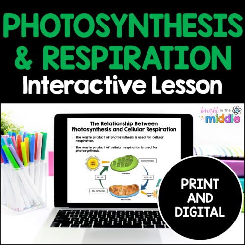 photosynthesis-and-cellular-respiration-interactive-1