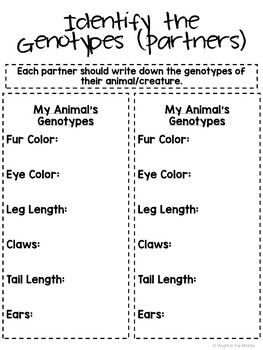 Punnett Squares Middle School Animal Project - Image 2