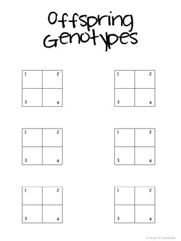 Punnett Squares Middle School Animal Project - Image 3