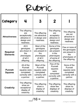 Punnett Squares Middle School Animal Project - Image 4