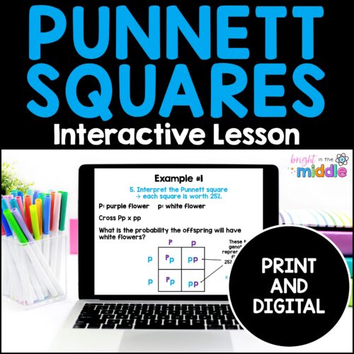 punnett squares lesson
