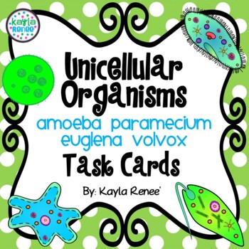 unicellular organisms activity