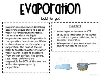 Water Cycle Gallery Walk - Image 2