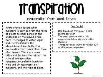 Water Cycle Gallery Walk - Image 3