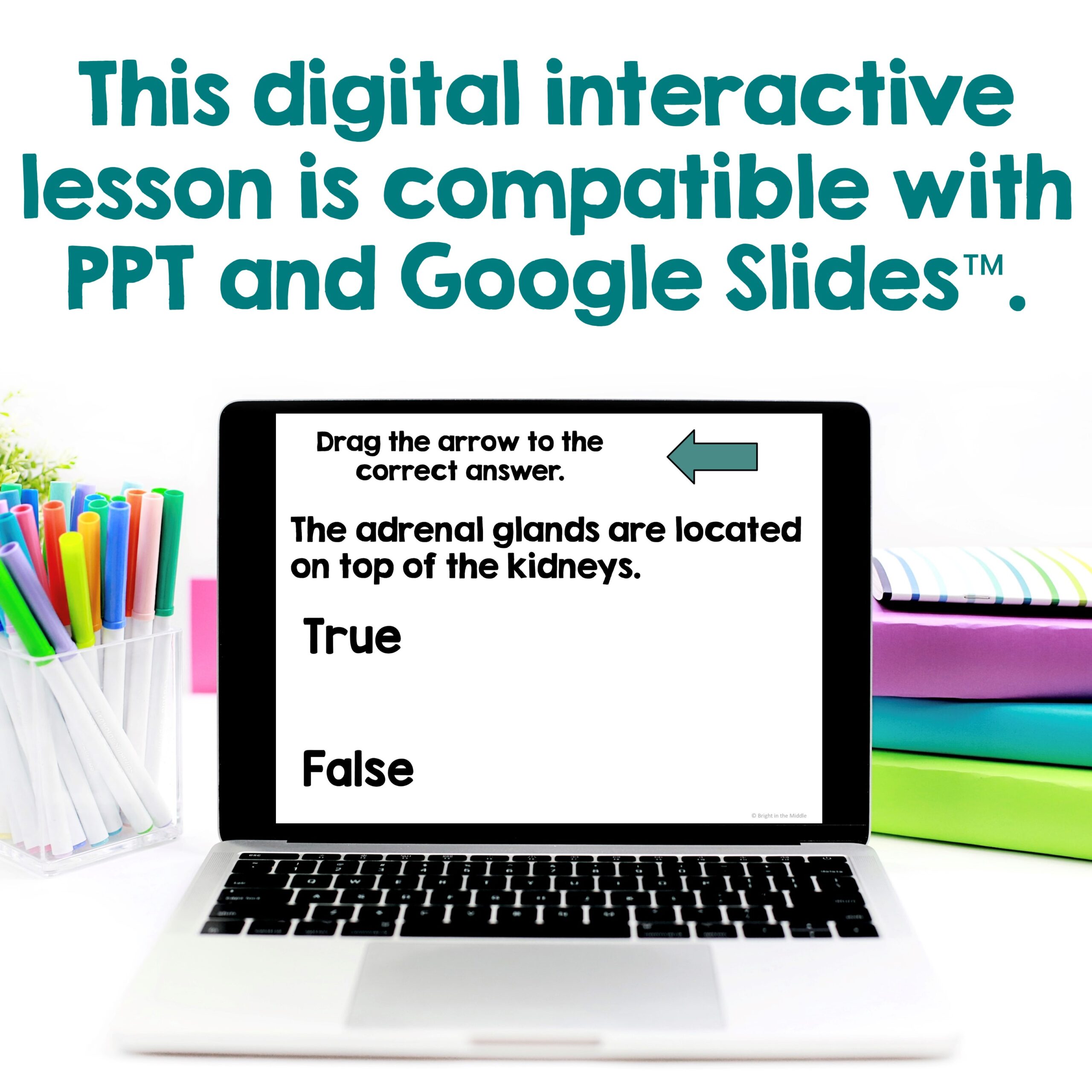 endocrine-system-and-nervous-2