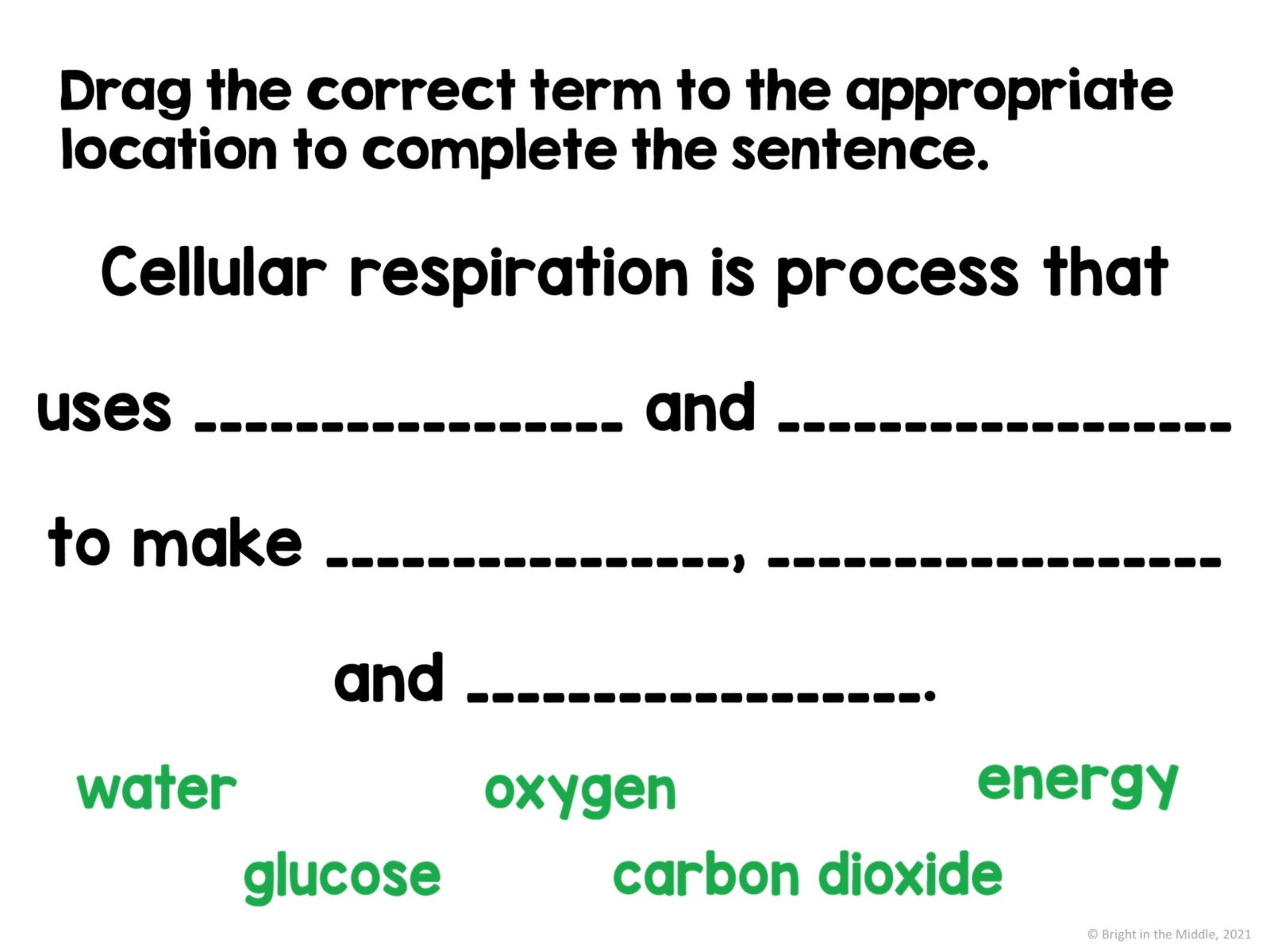 Life Science Unit for Middle School