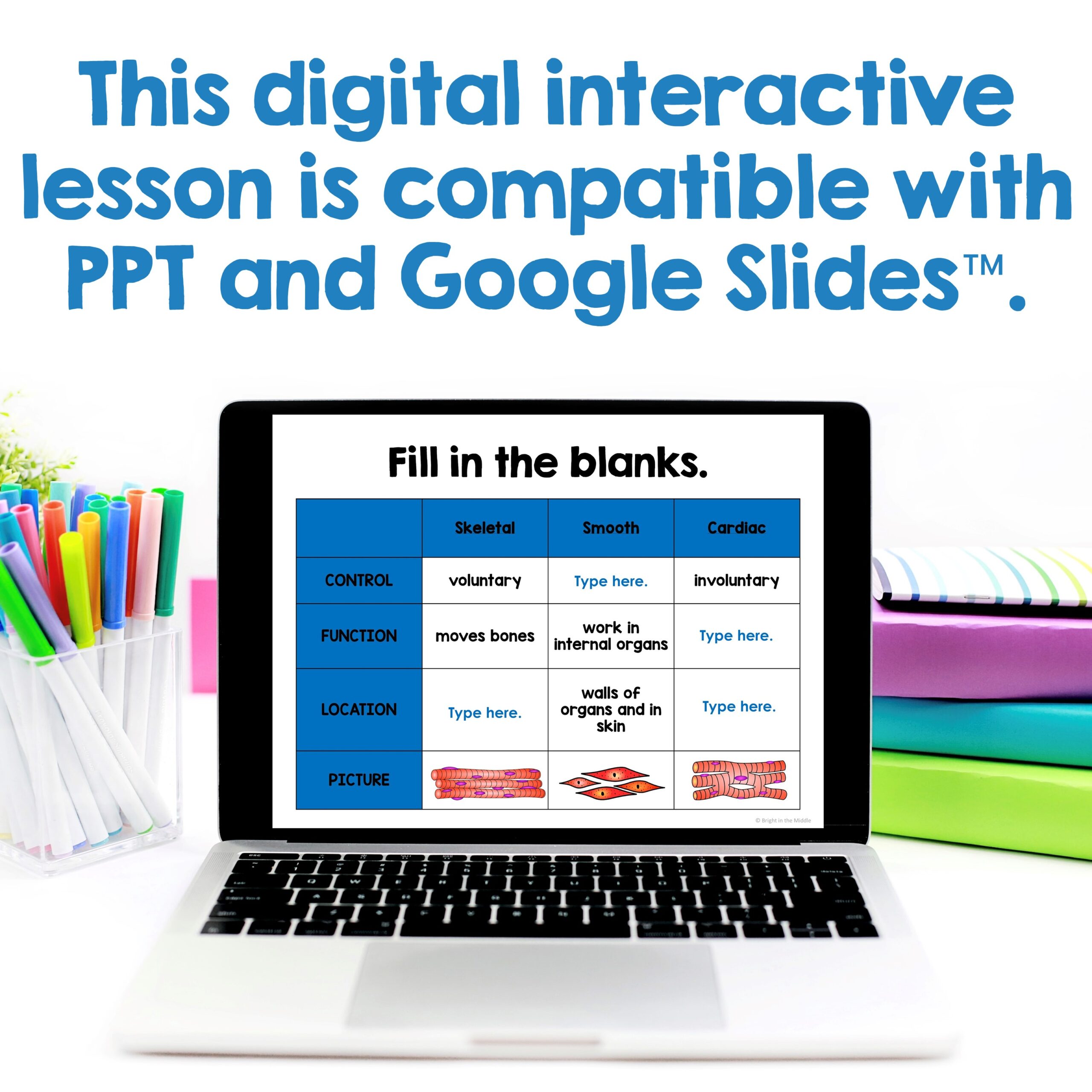 skeletal-and-muscular-system-2