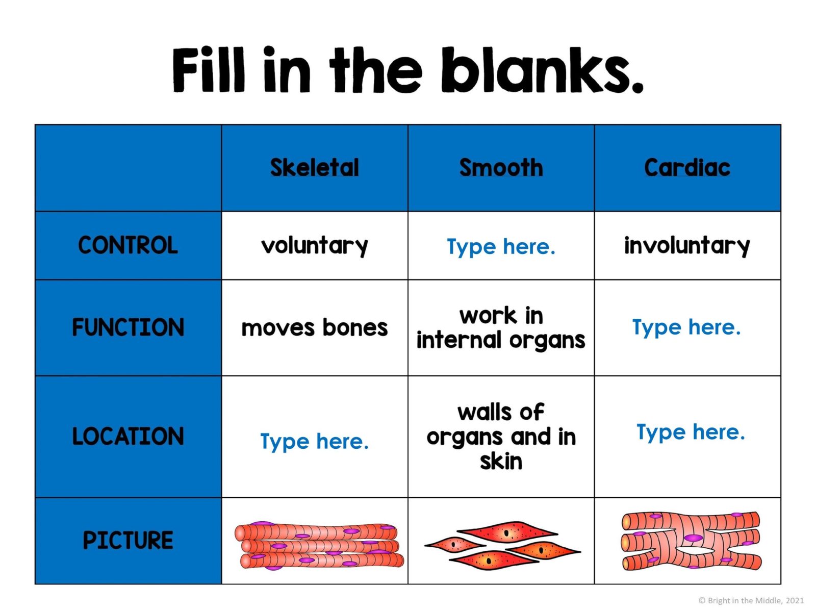 the-skeletal-and-muscular-system-3