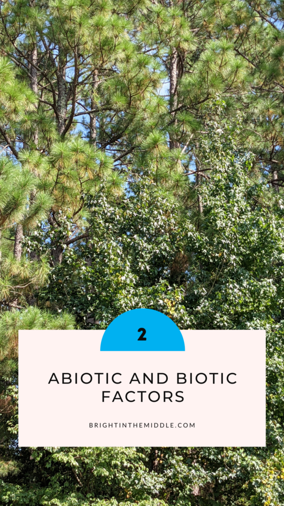how to entertain students in class? take them outside to learn about abiotic and biotic factors
