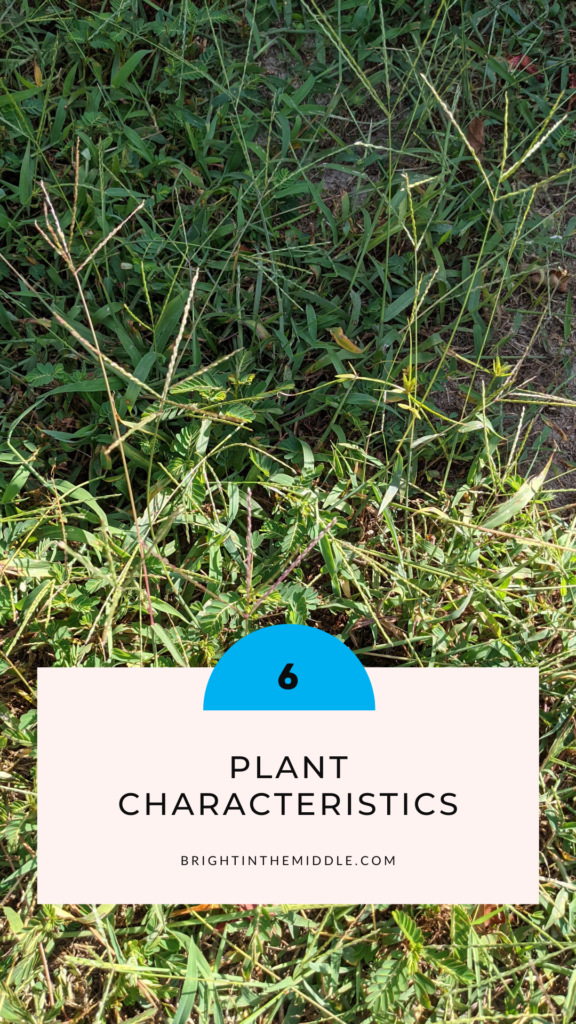 students bored in class? - teach plant characteristics outside
