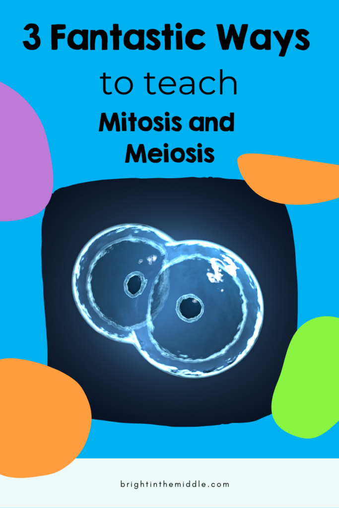 the difference between meiosis and mitosis teaching ideas