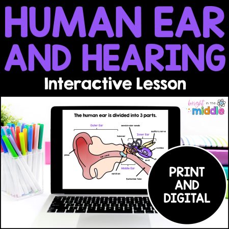 hearing and the human ear
