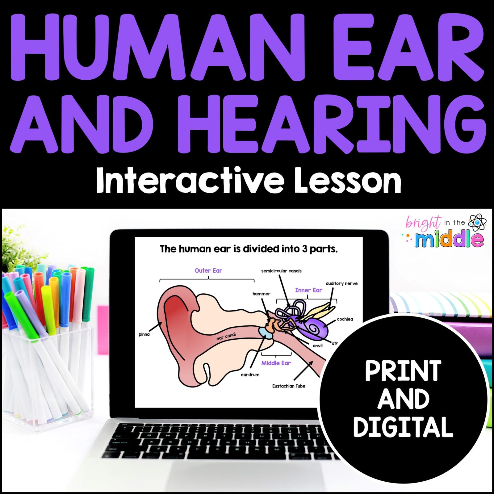 hearing and the human ear