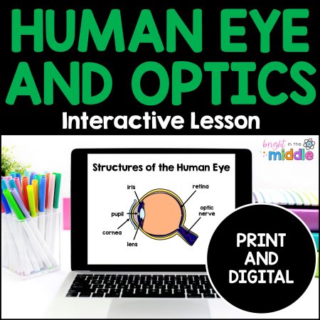 the human eye