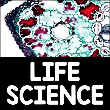 Life Science