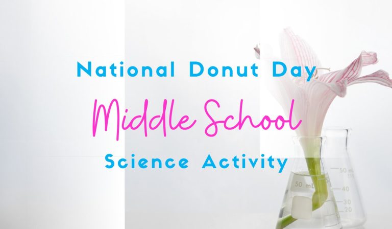 National Donut Day Activity