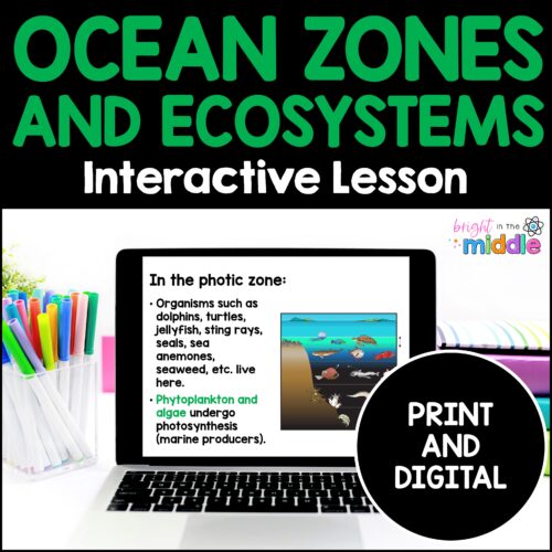 ocean zones and ecosystems