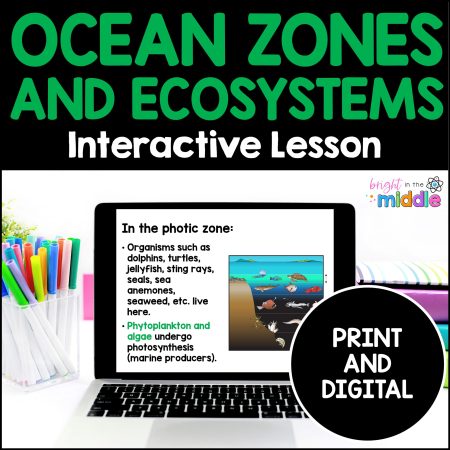 ocean zones and ecosystems