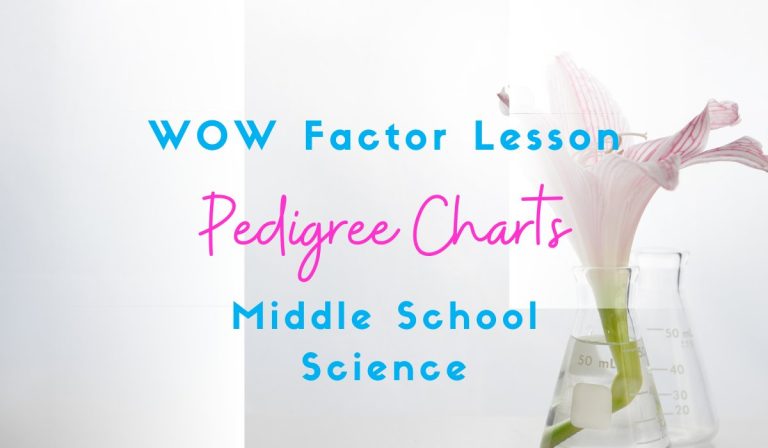 7 Fantastic Pedigree Chart Lesson Ideas for your Middle School Classroom!