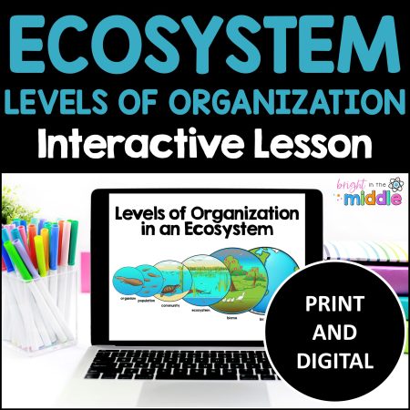 levels-of-organization-in-an-ecosystem- ecosystems