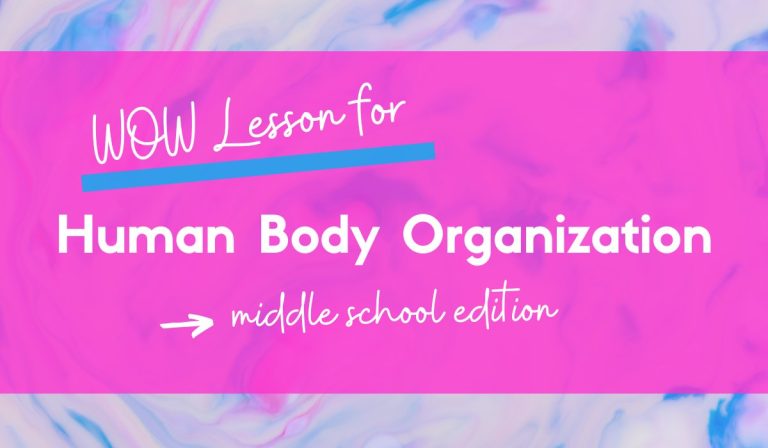 Levels of Organization of the Human Body – Awesome WOW Factor Lesson