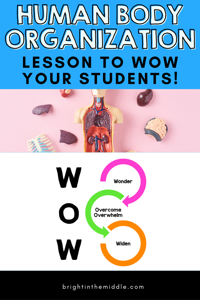 levels of organization in the human body wow factor lesson