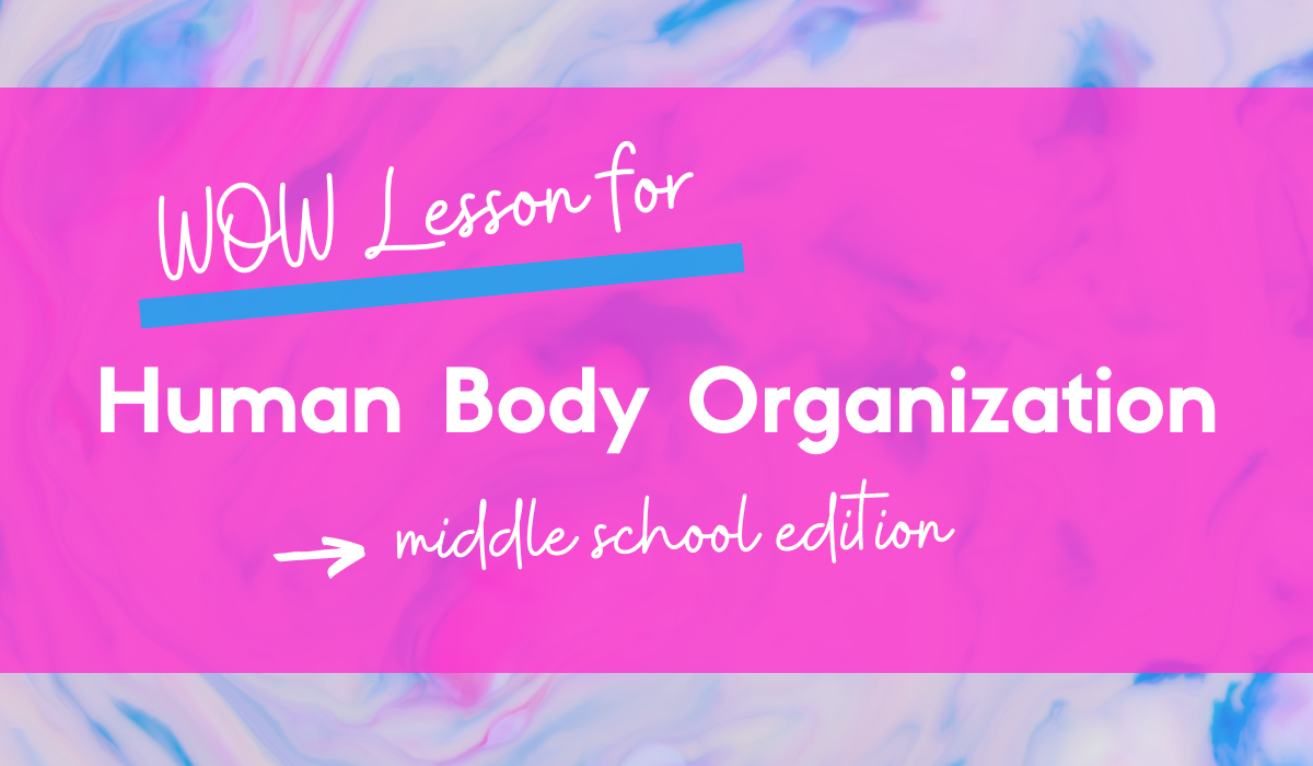 levels-of-organization-of-the-human-body