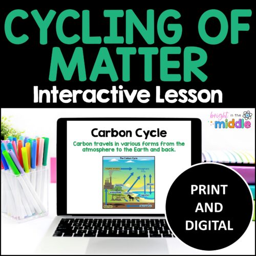 Cycles of Matter Interactive Lesson