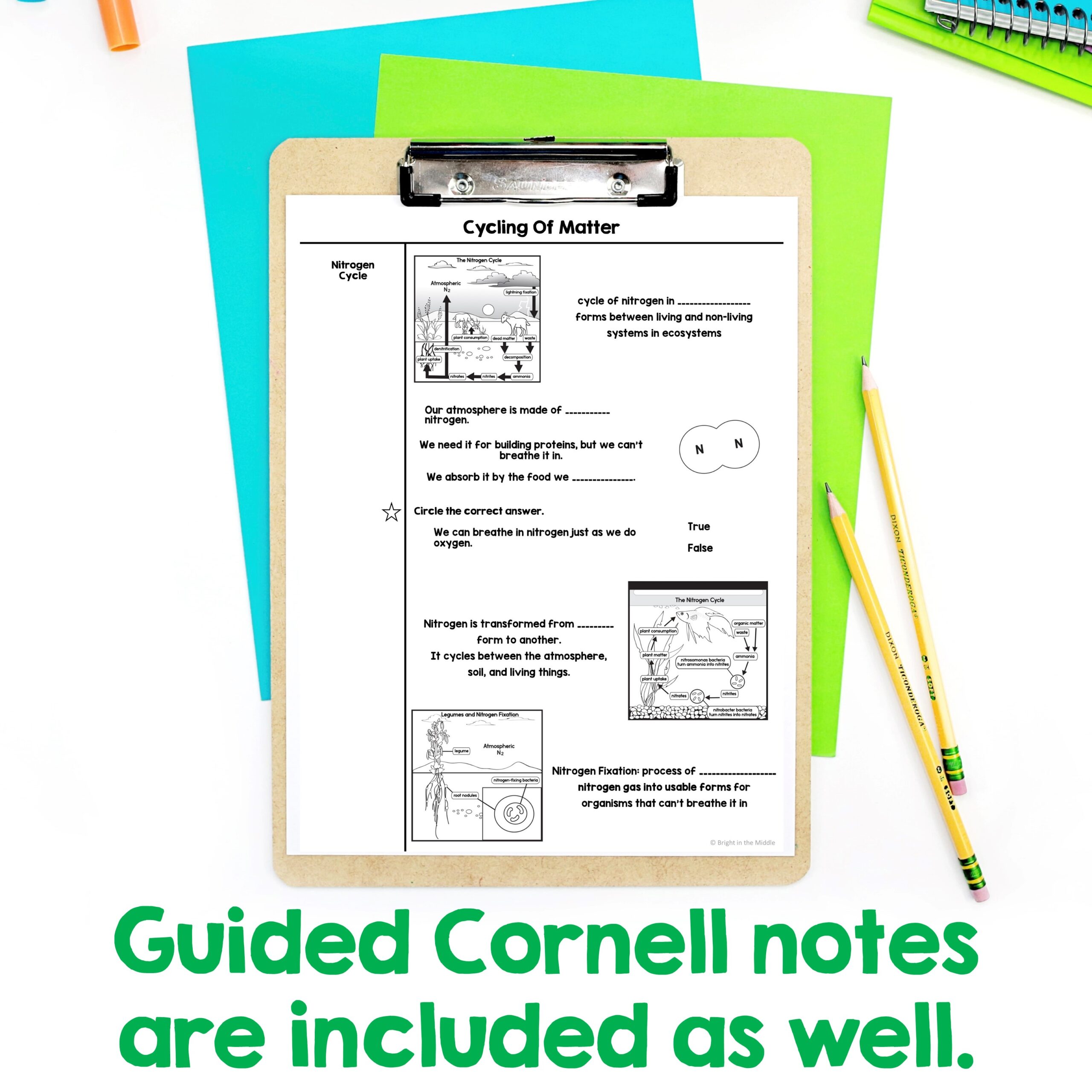cycles-of-matter-in-ecosystems-4